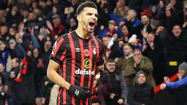 Dominic Solanke se postaral o prvn gl Bournemouthu v utkn s Newcastlem