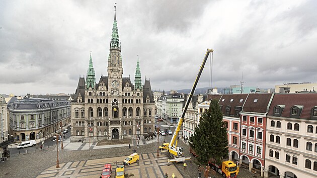 Patn�ctimetrov� smrk ztepil� zdob� n�m�st� p�ed libereckou radnic�.