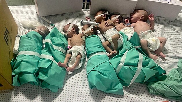 Novorozenci, kte byli kvli vpadku proudu v nemocnici fa v Gaze uloeni mimo inkubtory. (12. listopadu 2023)