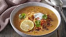 �o�kov� pol�vka se z�zvorem