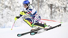 �eská ly�a�ka Martina Dubovská b�hem prvního kola slalomu v Levi.