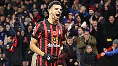 Dominic Solanke se postaral o první gól Bournemouthu v utkání s Newcastlem