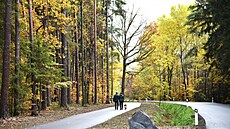 Novou cyklostezku na Novoborsku si po otev�ení vyzkou�ela �ada cyklist�.