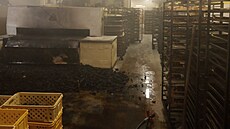 V trutnovské pekárn vzplála pec na rohlíky, peivo skonilo na uhel. (19....