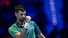 Novak Djokovi se raduje po vyhraném míku ve finále ATP Finals proti Janniku...