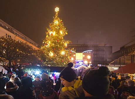 Rozsvícení probhne 3. prosince: Zahájení Ústeckých Vánoc s rozsvcením stromu...