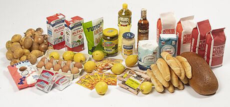 Modelový nákup pro on-line test obchod s potravinami
