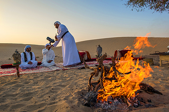 Jednou ze starých tradic beduín v rezervaci Al Marmoom je sokolnictví.