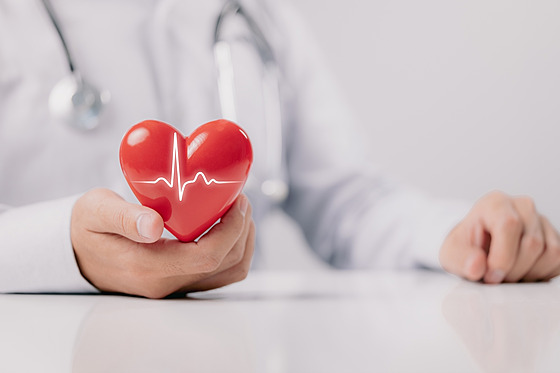 Odborníci dokonují plán, jak zachytit nemoci srdce a cév