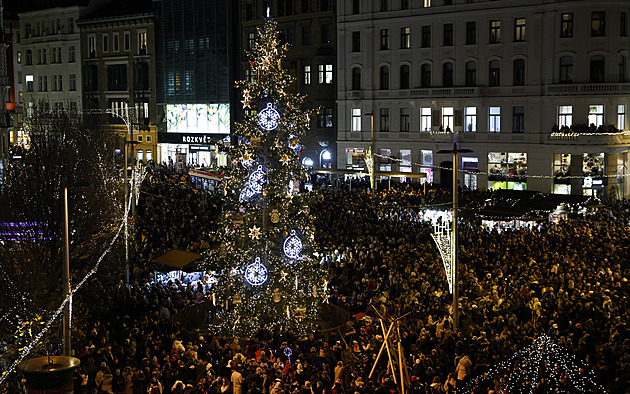 V Brně rozsvítili vánoční strom. Není to krasavec, ale má příběh, říká lesník