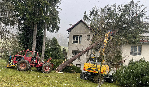 Silný vítr zlomil v Jeseníku dvacetimetrový strom, spadl na budovu školy