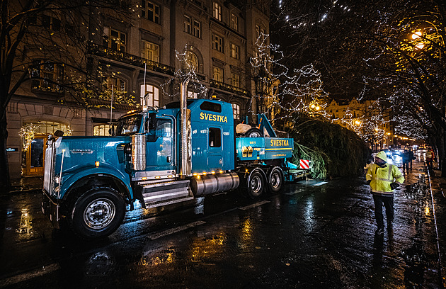 V noci a za deště. Na Staroměstském náměstí vztyčili vánoční smrk, zazáří v sobotu