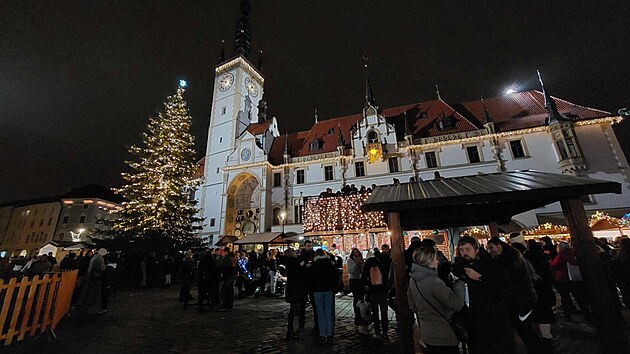 Olomoucký strom Bambulín už svítí, vrací se i kluziště a vánoční autobus -  iDNES.cz