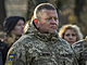 Nelnk ukrajinskho generlnho tbu Valerij Zalunyj u pomnku obt...