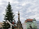 Olomou�an� si u�ili slavnostn� rozsv�cen� v�no�n�ho stromu na Horn�m n�m�st�...