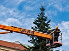 Olomou�an� si u�ili slavnostn� rozsv�cen� v�no�n�ho stromu na Horn�m n�m�st�...