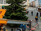 Olomou�an� si u�ili slavnostn� rozsv�cen� v�no�n�ho stromu na Horn�m n�m�st�...