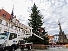 Olomou�an� si u�ili slavnostn� rozsv�cen� v�no�n�ho stromu na Horn�m n�m�st�...