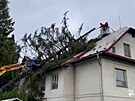 Strom spadl na d�m