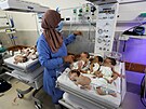 Evakuace pedasn narozených dtí z ífy, nejvtí nemocnice v Pásmu Gazy....
