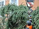 Instalace v�no�n�ho stromu v historick�m centru m�sta Chebu.
