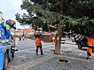 Instalace v�no�n�ho stromu v historick�m centru m�sta Chebu.