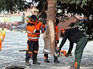 Instalace v�no�n�ho stromu v historick�m centru m�sta Chebu.