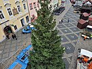 Instalace v�no�n�ho stromu v historick�m centru m�sta Chebu.