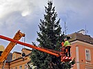 Instalace v�no�n�ho stromu v historick�m centru m�sta Chebu.