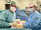 L�ka�i z Fakultn� nemocnice Ostrava �sp�n� replantovali prst �estilet�mu...
