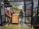 Jagu���ho samce p�ivezli do zl�nsk� zahrady z francouzsk� zoo Parrot World...