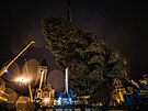 Na Staromstském námstí pracovníci THMP vztyili vánoní strom (28. listopadu...