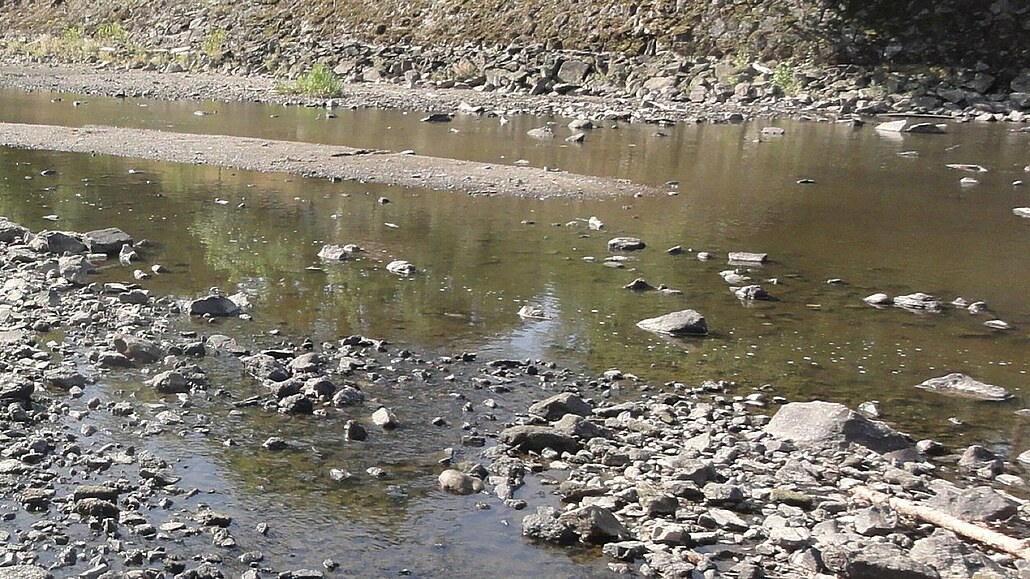Ve vtin jihomoravských tok je mén ne polovina vody proti dlouhodobým...