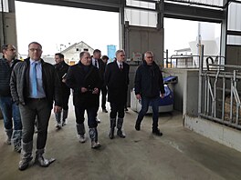 Premiéra Petra Fialu do kravína doprovodil lidovecký ministr zem�d�lství Marek...