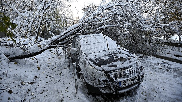 V Bulharsku vláda kvůli sněžným bouřím vyhlásila na většině území mimořádný stav. Řada silnic byla kvůli sněhu uzavřena, přerušena byla u Varny a metropole Sofie také železniční doprava. (26. listopadu 2023)
