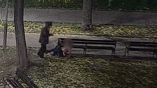 Muž v parku kopal do ženy a šlapal jí na hlavu