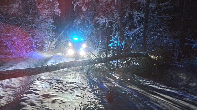 Hasiči na území Karlovarského kraje likvidovali množství stromů popadaných kvůli hustému sněžení.