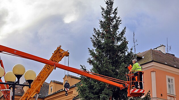 Instalace vánočního stromu v historickém centru města Chebu.