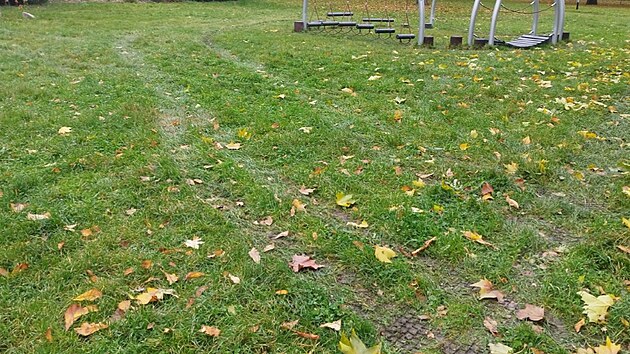 �idi� osobn�ho automobilu po�kodil p�i driftov�n� tr�vn�ky v sokolovsk�ch m�stsk�ch sadech.