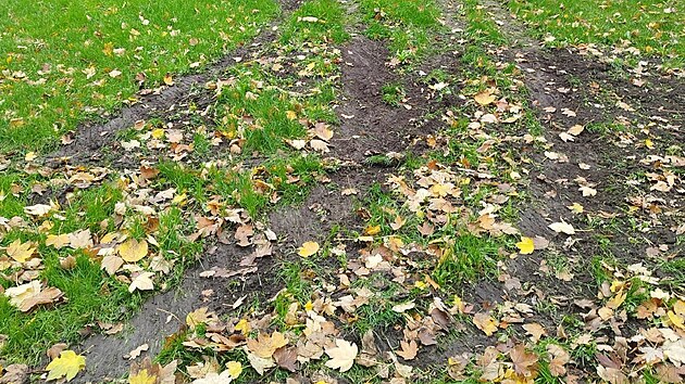 �idi� osobn�ho automobilu po�kodil p�i driftov�n� tr�vn�ky v sokolovsk�ch m�stsk�ch sadech.