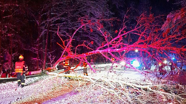 Liberečtí hasiči zasahovali u spadlého stromu nedaleko Železného brodu. (28. listopadu 2023)