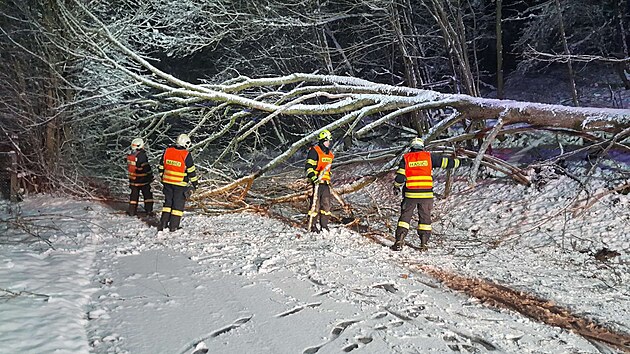 Liberečtí hasiči zasahovali u spadlého stromu na Semilsku. (28. listopadu 2023)