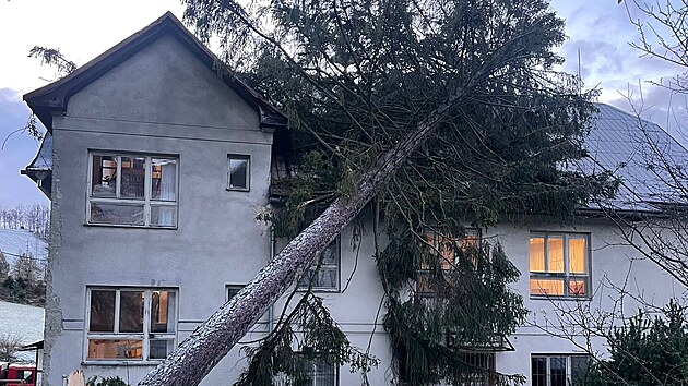 Zlomen strom spadl v Jesenku na budovu zkladn koly, hasii pi zsahu vyuili tkou i vkovou techniku.