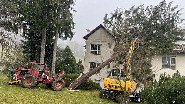 Zlomen strom spadl v Jesenku na budovu zkladn koly, hasii pi zsahu vyuili tkou i vkovou techniku.