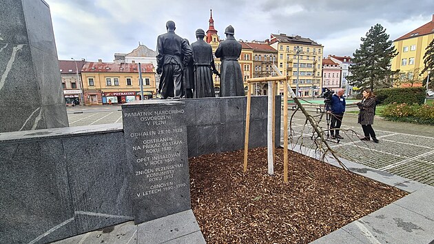 Představitelé Plzně vysadili lípu, národní strom, před necelým měsícem u příležitosti 105. výročí založení Československa. Teď si ji vyhlédl vandal a zničil ji.