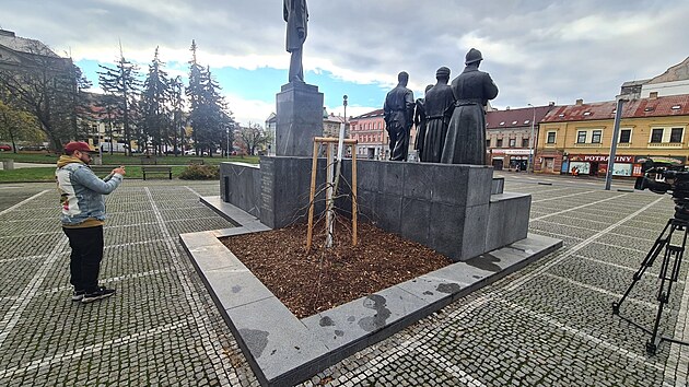 Představitelé Plzně vysadili lípu, národní strom, před necelým měsícem u příležitosti 105. výročí založení Československa. Teď si ji vyhlédl vandal a zničil ji.