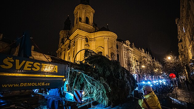 Na Staroměstském náměstí pracovníci THMP vztyčili vánoční strom (28. listopadu 2023)