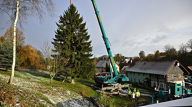 Kcen vnonho stromu pro Staromstsk nmst v Praze. (25. listopadu 2023)