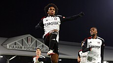 Willian oslavuje vítzný gól Fulhamu.