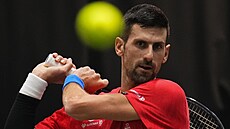 Srbský tenista Novak Djokovi trénuje ped tvrtfinálovým stetnutím s Velkou...